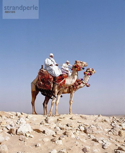 10040091  Ägypten  Nordafrika  verziert  steinigen  Wüste  zwei  Kamel Rider  Kamele