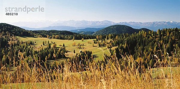 10375888  Berge  Herbst  Italien  Europa  Landschaft  Südtirol  Meran  Südtirol Tierser Tal  Überblick  Bäume  Wälder  Wiesen