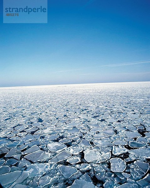 Landschaftlich schön landschaftlich reizvoll Wasser Winter Meer Eis Ostsee Baltisches Meer