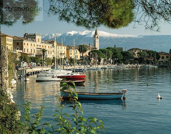 10074419  Gardasee  See  Meer  Hafen  Port  Italien  Europa  Maderno  Monte Baldo  Segelboote