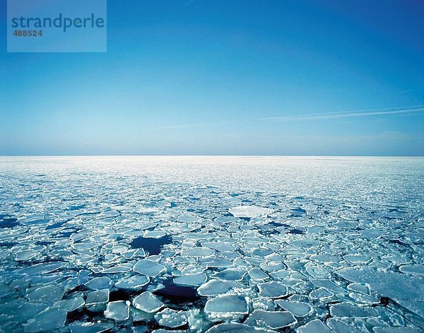 Eisscholle Landschaftlich schön landschaftlich reizvoll Winter Meer Eis Südlicher Ozean Südpolarmeer Südliches Eismeer Antarktischer Ozean Antarktik Ostsee Baltisches Meer