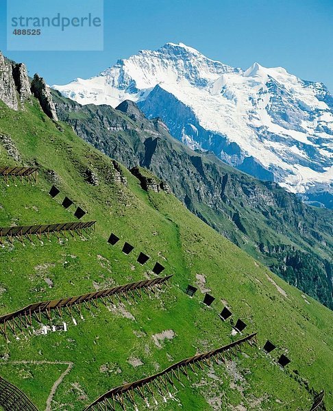 10120296  Jungfrau  Lawinen  Lawinen-Schutz  Schutz  Verbauung  Berge  Alpen  Alpen  Mountains  Schweiz  E