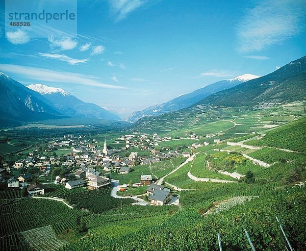 10121478  Schweiz  Europa  Wallis  Rhône-Tal  Weinbaugebiete  Salgesch  Dorf  Übersicht  Weinberge  Landschaft  Gebirge  alp