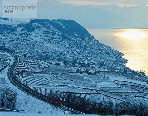 10246573  Genfersee  Genfersee  Lavaux  Weinberg  Schweiz  Europa  Stimmung  Übersicht  Ufer  Waadt  Weingebiet  Winter
