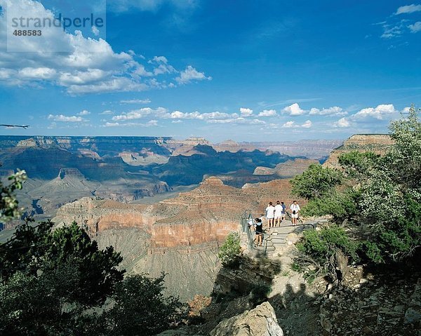 10335390  Arizona  Ansicht Plattform  Grand Canyon  Schlucht  Brett Rock  Überblick  USA  Amerika  Nordamerika