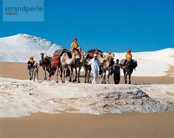 10437901  Ägypten  Nordafrika  Hügel  Kamel-trekking  Kamel  Wohnwagen  Tourismus  trekking  weiss  weiße  Wüste