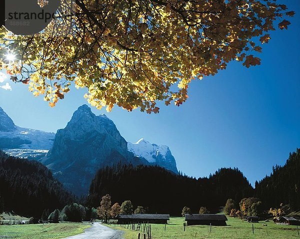 Landschaftlich schön landschaftlich reizvoll Berg Alpen Herbst Feldweg