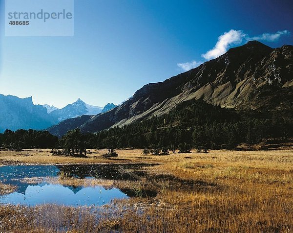 Landschaftlich schön landschaftlich reizvoll Berg Alpen Moor