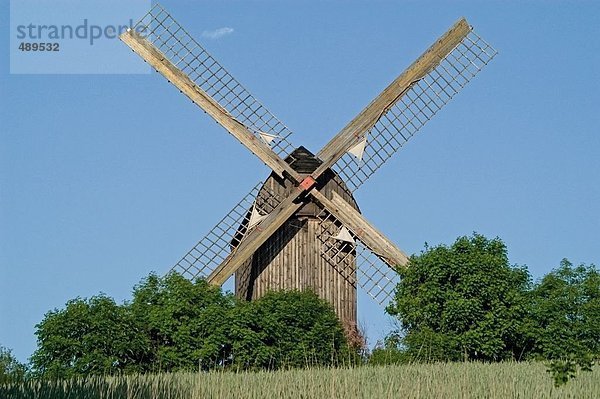 Untersicht traditionelle Windmühle  Mecklenburg-Vorpommern  Deutschland
