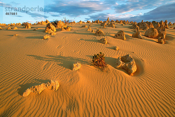 Australien  Pinnacles Desert
