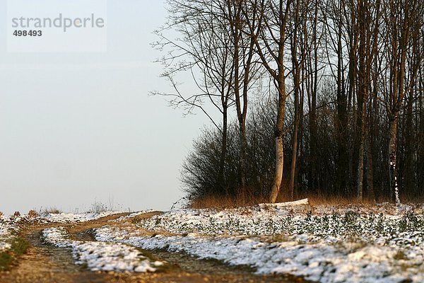 Frankreich  Jura  Bäume und Schneefelder auf dem Feld