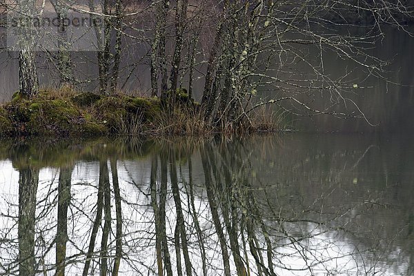 Frankreich  Jura  Bäume und Teich im Winter