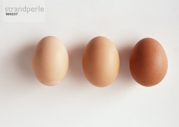 Drei Eier vor weißem Hintergrund  Nahaufnahme