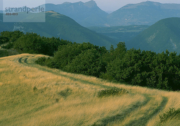 Weg im Gras und Berge im Hintergrund