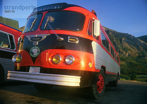 Reisebusse  Glacier National Park  Montana  Vereinigte Staaten von Amerika