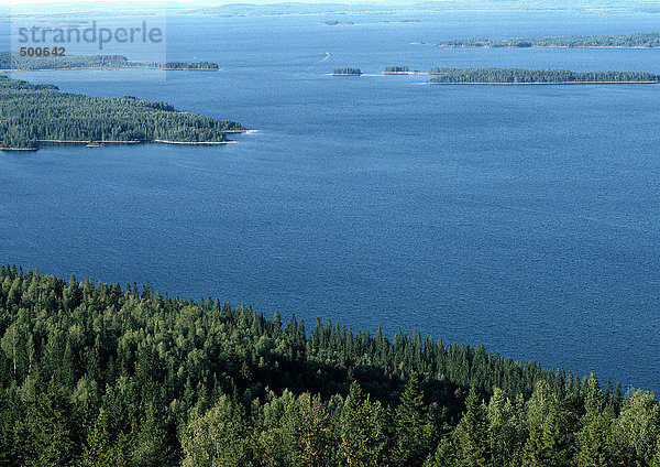 Finnland  Küstenlandschaft mit immergrünen Bäumen