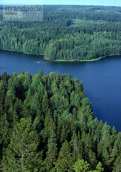 Immergrüner Wald und Gewässer  Luftaufnahme