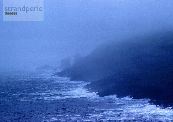 Wellen treffen bei Nebel auf die Küste