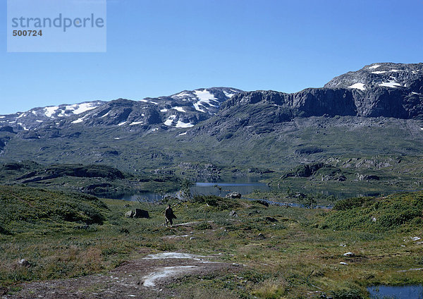 Norwegen  Berggipfel