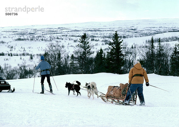 Schweden  Schlittenhunde ziehen Schlitten und Menschen auf Langlaufskiern im Schnee