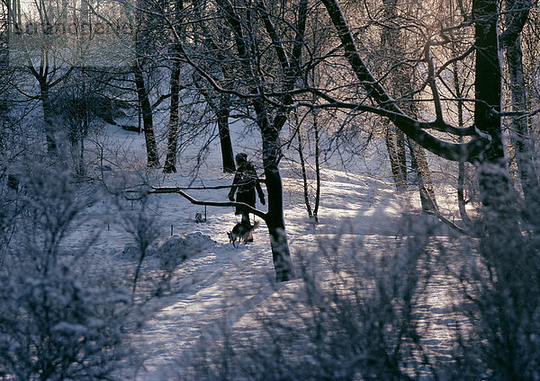 Schweden  Wanderer im verschneiten Wald mit Hund