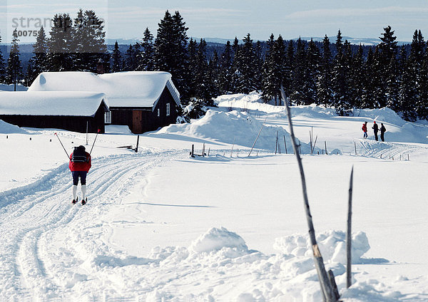 Schweden  Langläufer nähert sich schneebedeckten Hütten