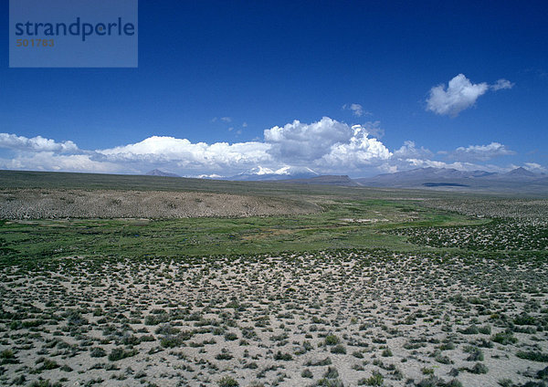 Chile  El Norte Grande  Altiplano  Lauca Nationalpark  Flachland mit niedrigen Gräsern  Wolken am Horizont