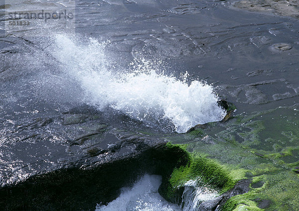 Neuseeland  Muriwai Beach  Welle spritzt durch das Loch im Fels