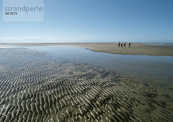Neuseeland  Ufer mit geriffeltem Sand und Wasserbecken
