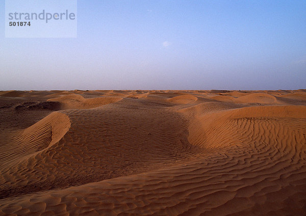 Tunesien  Sahara-Wüste  geriffelte Sanddünen