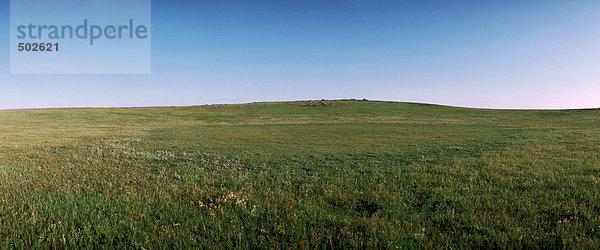 Mongolei  Ebene  Panoramablick