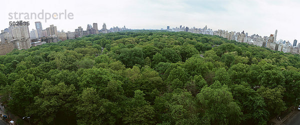 Vereinigte Staaten  New York  Central Park  Baumkronen mit Skyline im Hintergrund  Panoramablick