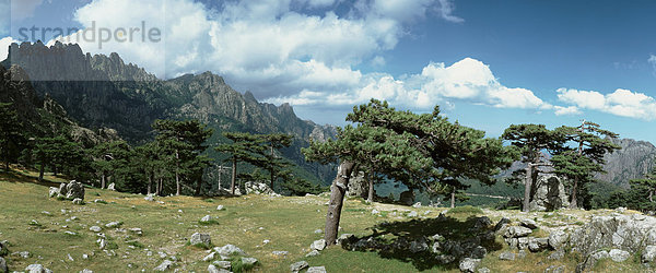 Frankreich  Korsika  Berglandschaft  Panoramablick