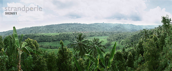 Indonesien  Tropenwald  Hochblick  Panoramablick