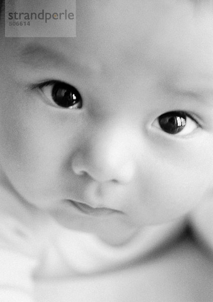 Baby schaut in die Kamera  Nahaufnahme  Schwarzweiß.