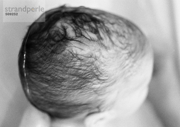 Baby's wet head  high angle view  close-up  b&w