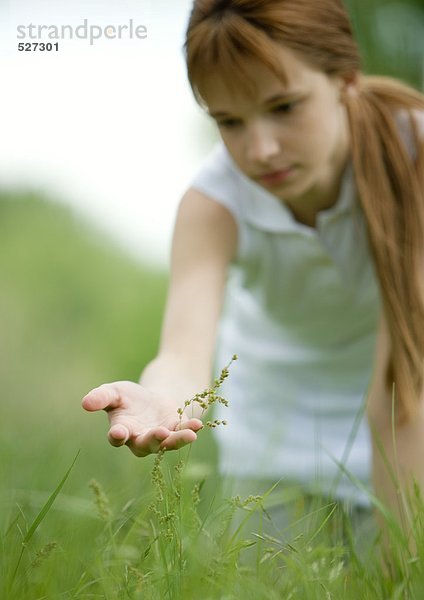 Mädchen beim Betrachten der Pflanze