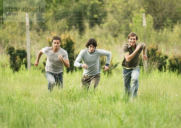 Drei junge männliche Freunde  die über das Feld rasen.