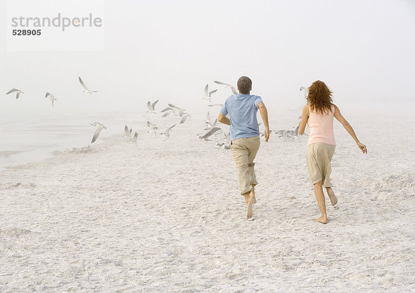 Paar läuft am Strand in Richtung streuender Möwen