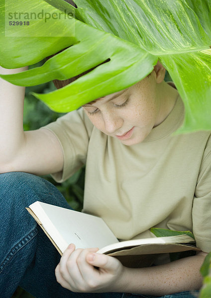 Junge sitzend unter Blatt  lesend