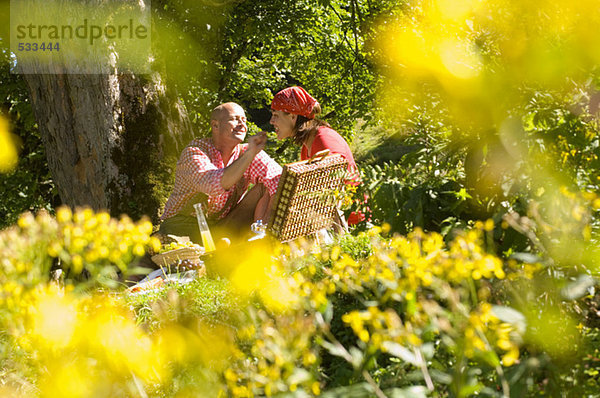 Couple having picnic under tree  man feeding woman