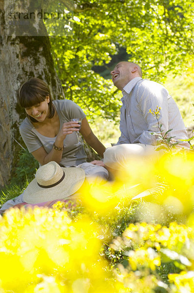 Pärchen beim Picknick unterm Baum  lächelnd