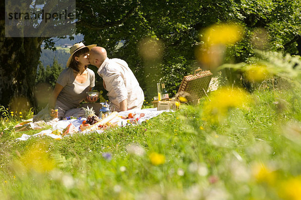 Pärchen beim Picknick auf der Wiese  Küssen
