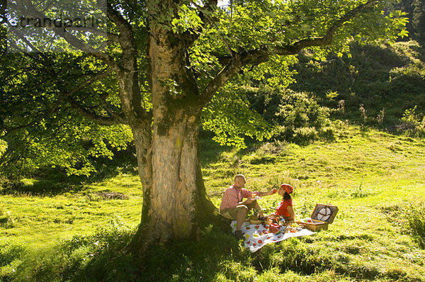 Couple having picnic in meadow  man feeding woman