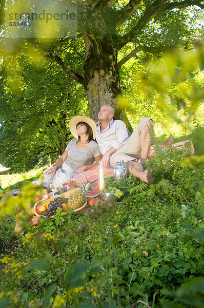 Pärchen beim Picknick unter dem Baum