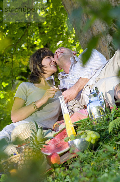 Pärchen beim Picknick unter dem Baum