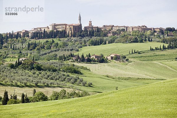 Italy  view to Pienza