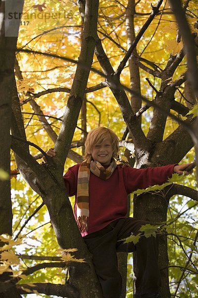 Junge (10-12) im Baum sitzend