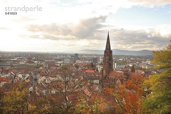 Luftbild der Kirche in der Stadt  Freiburg Im Breisgau  Baden-Württemberg  Deutschland