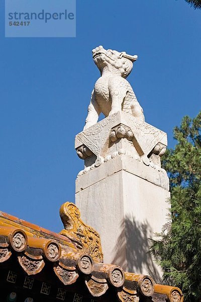 Untersicht Statue des Löwen auf dem Friedhof Ming-Gräber  Chang Ling Mausoleum  Beijing  China
